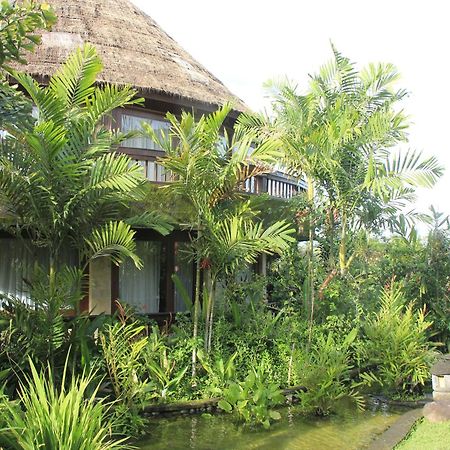 Taman Wana Resort Palasari Negara  Exterior foto